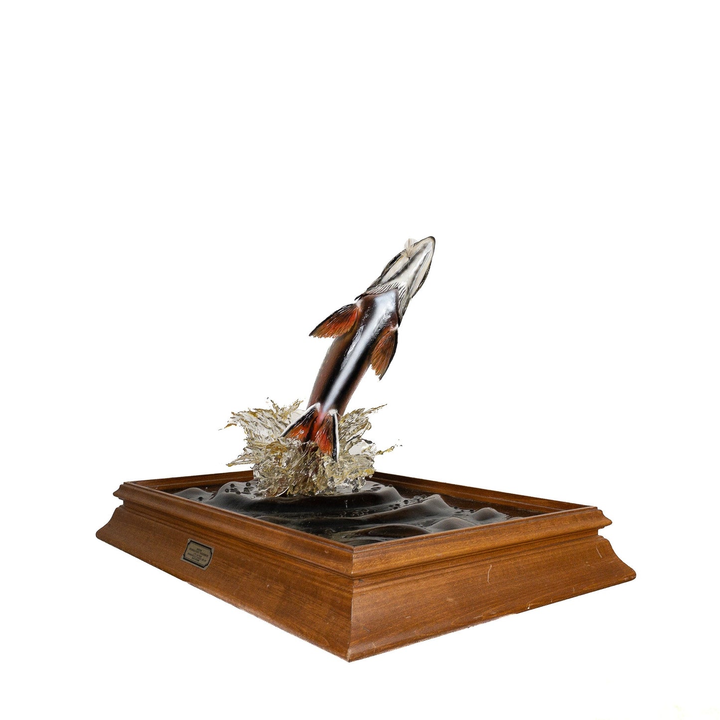 A Home Decor Taxidermy Fish Mount in Plexi-Glass Showcase Brook Trout Plexi-Glass Show case of Grade World Class