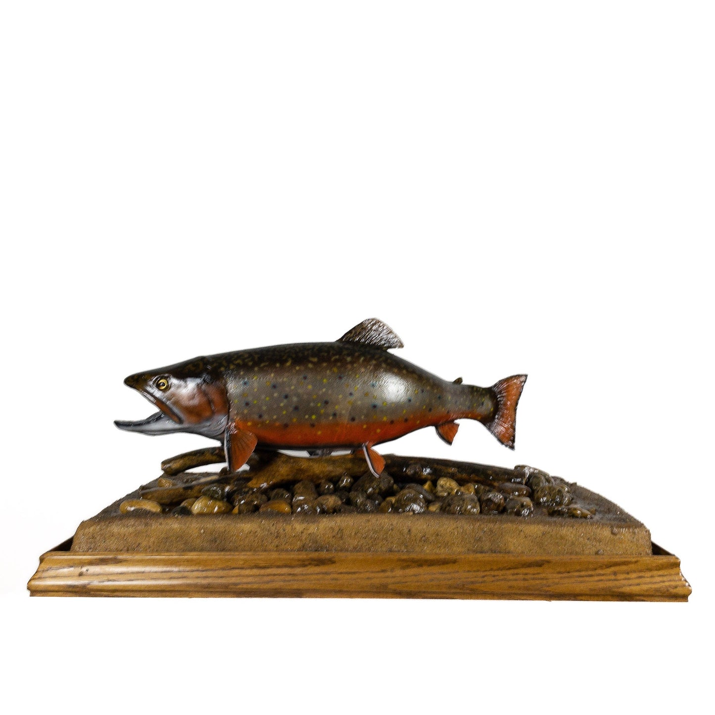 A Home Decor Taxidermy Fish Mount in Glass Showcase Brook Troutof Grade Remarkable