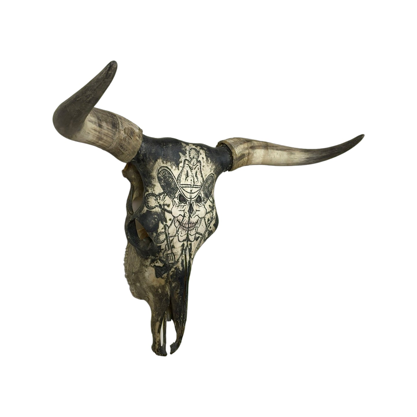 A Longhorn Engraved Skull Taxidermy Wall Decor featuring a skull wih a cowboy hat