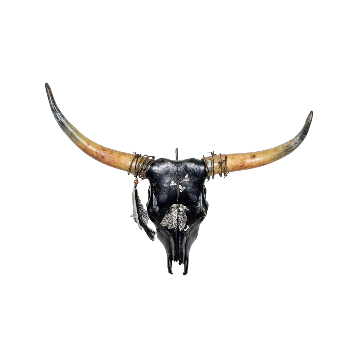 A Longhorn Engraved Skull Taxidermy Wall Decor featuring a large crow bird and 3 flying crows