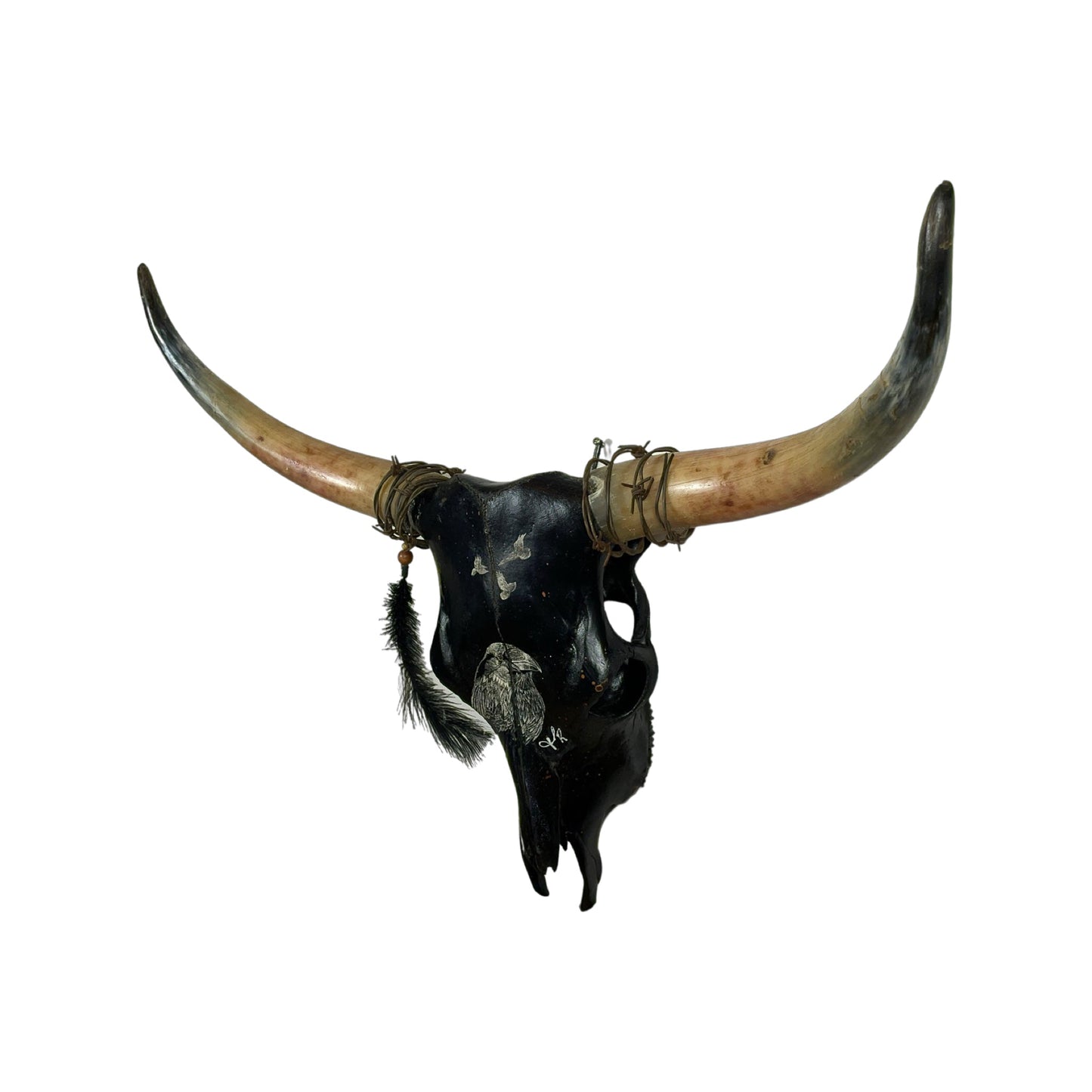 A Longhorn Engraved Skull Taxidermy Wall Decor featuring a large crow bird and 3 flying crows