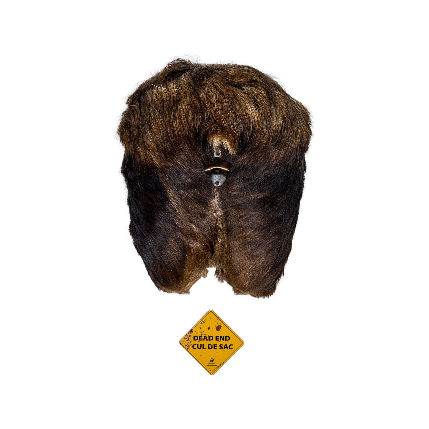 A Man cave Taxidermy Moose Butthole Bottle Opener of Grade Unique