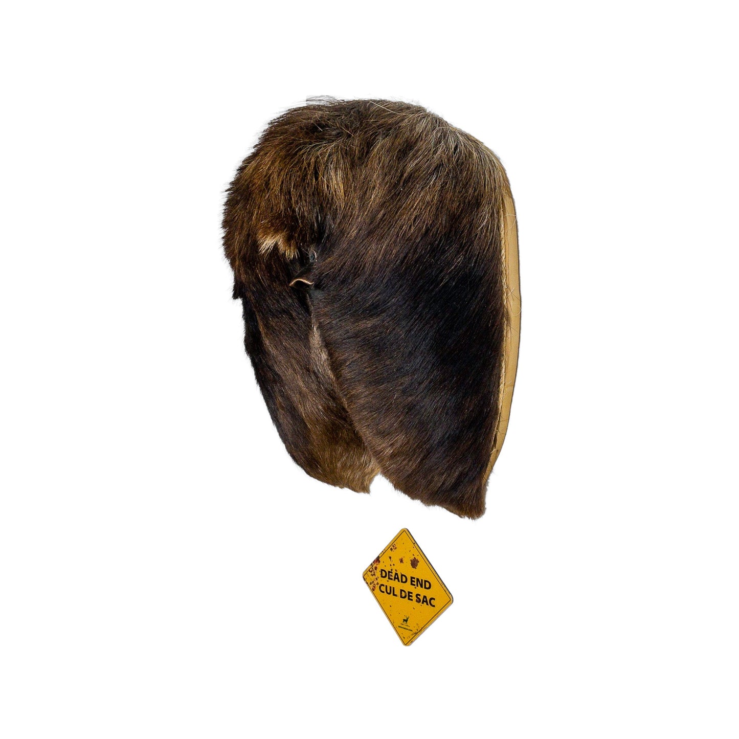A Man cave Taxidermy Moose Butthole Bottle Opener of Grade Unique