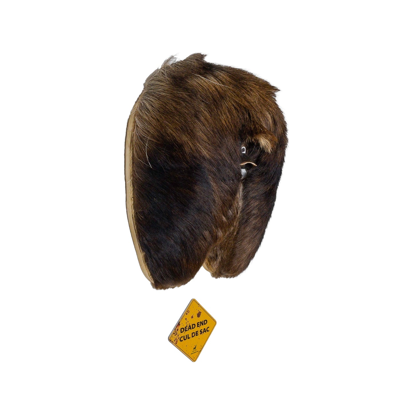 A Man cave Taxidermy Moose Butthole Bottle Opener of Grade Unique