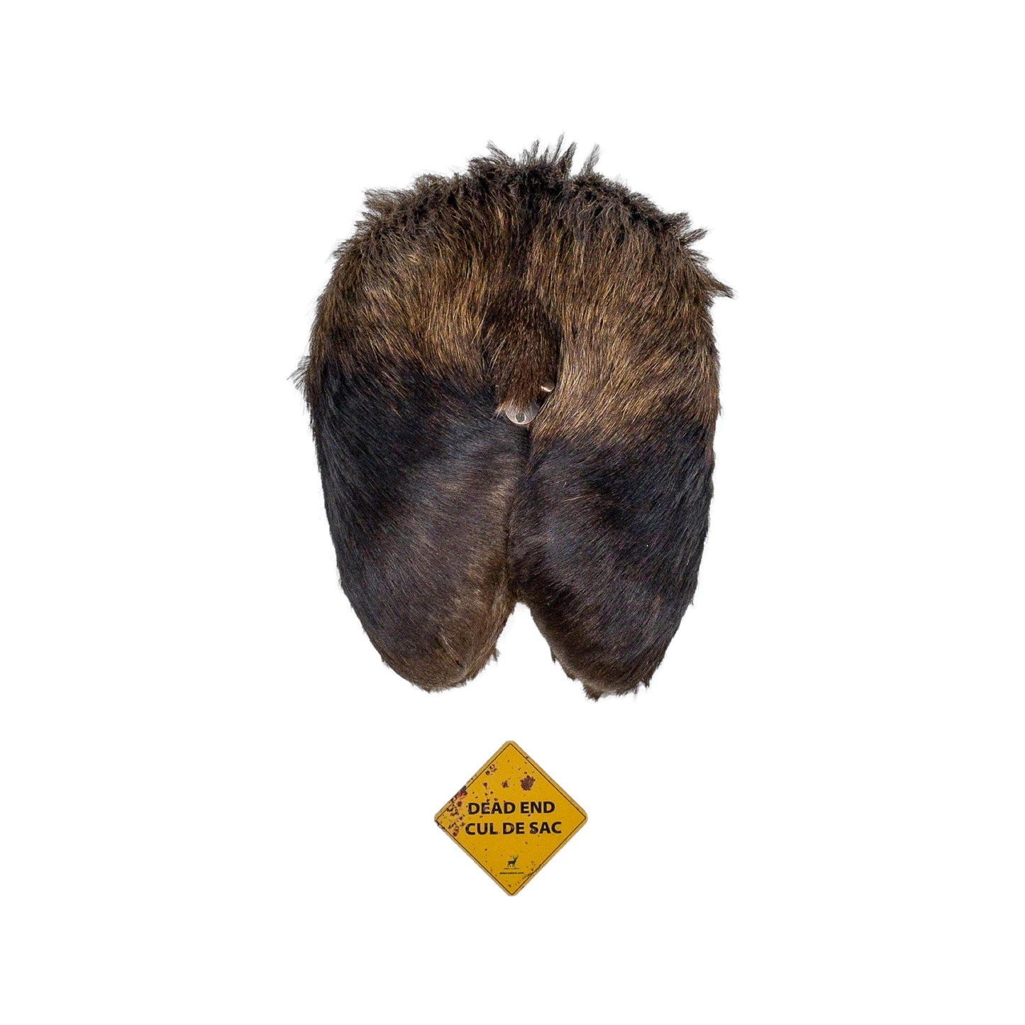A Man cave Taxidermy Moose Butthole Bottle Opener of Grade Unique