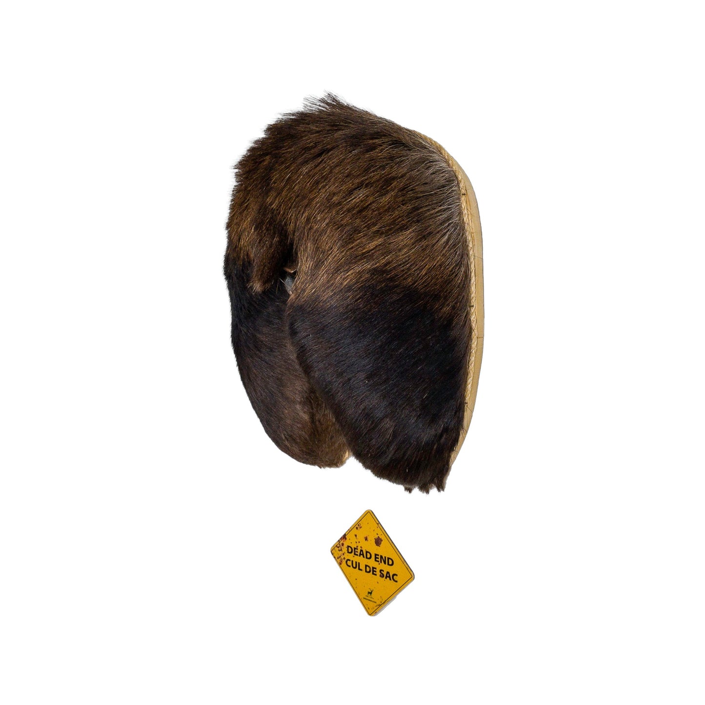 A Man cave Taxidermy Moose Butthole Bottle Opener of Grade Unique