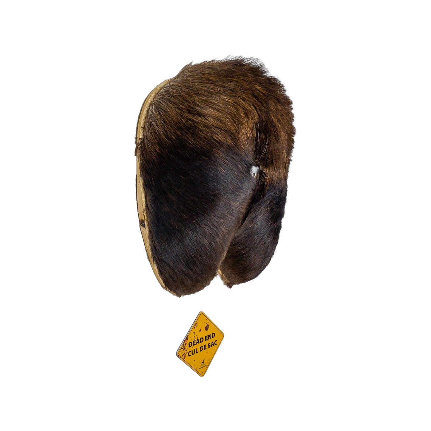 A Man cave Taxidermy Moose Butthole Bottle Opener of Grade Unique