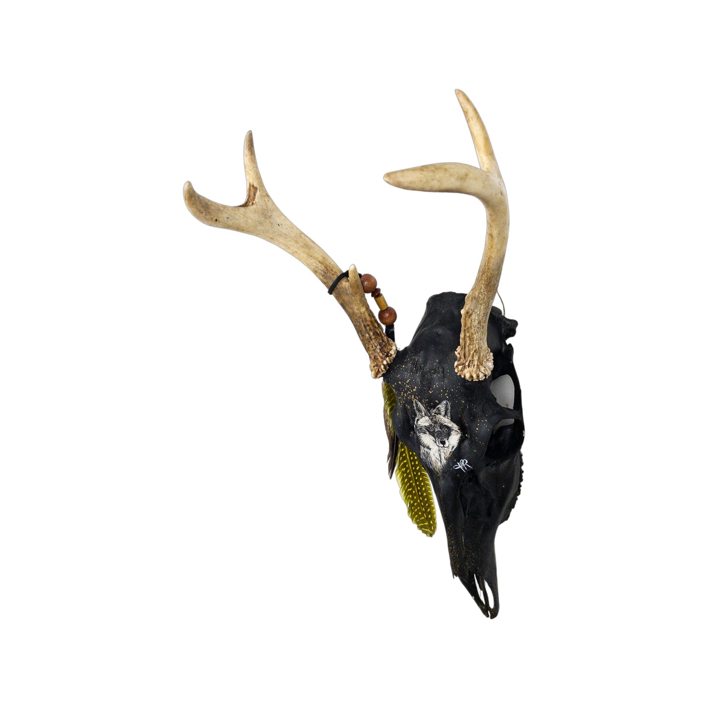 A White-Tailed Deer Engraved Skull Taxidermy Wall Decor featuring a fox