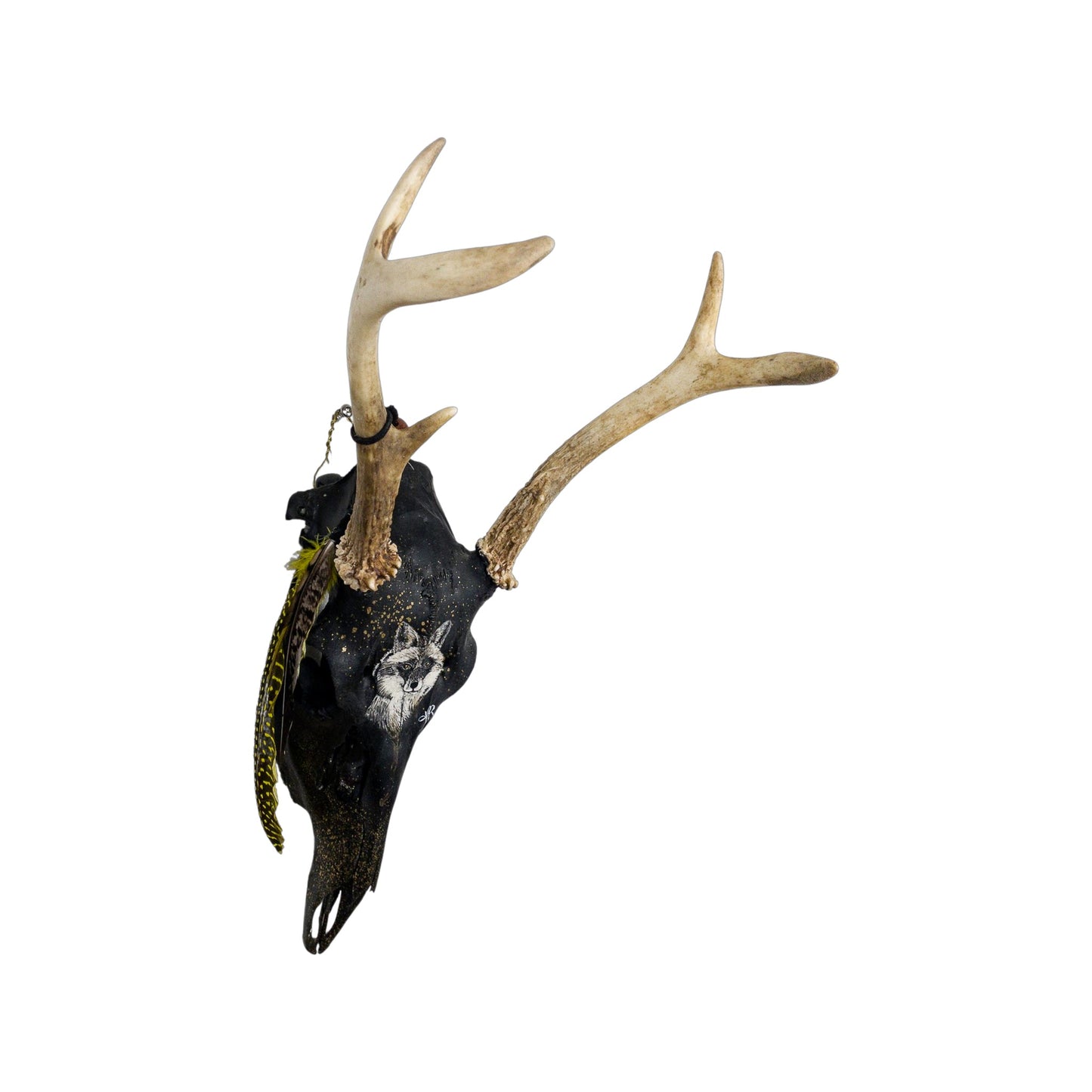 A White-Tailed Deer Engraved Skull Taxidermy Wall Decor featuring a fox