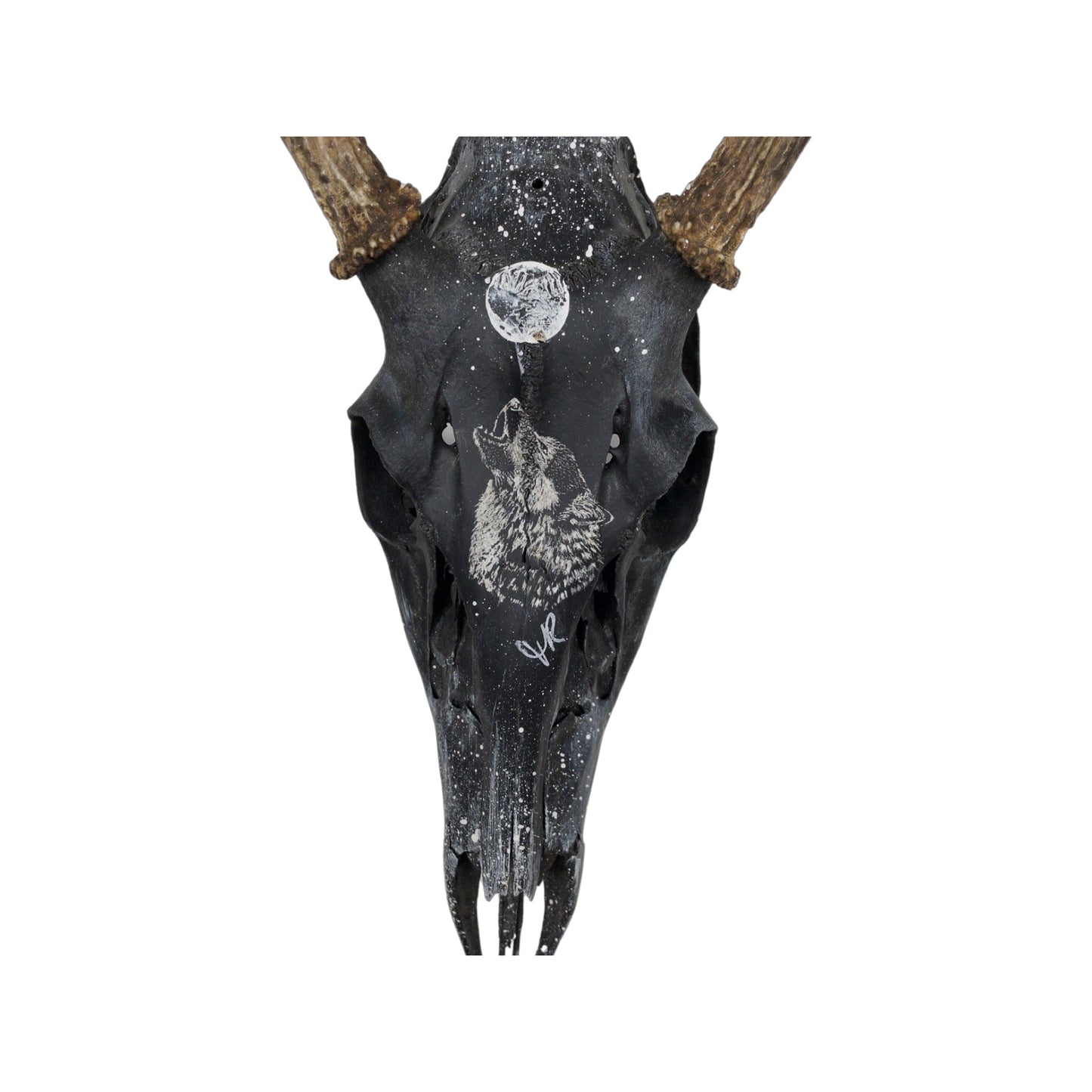 A White-Tailed Deer Engraved Skull Taxidermy Wall Decor featuring a wolf and a dream catcher