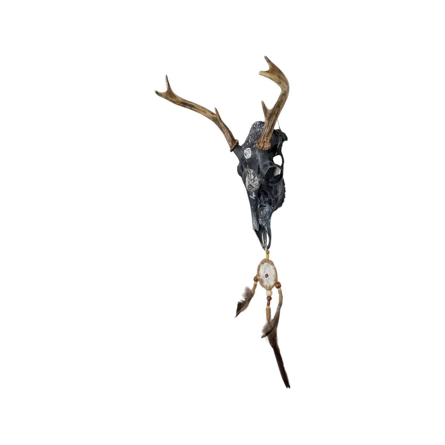 A White-Tailed Deer Engraved Skull Taxidermy Wall Decor featuring a wolf and a dream catcher