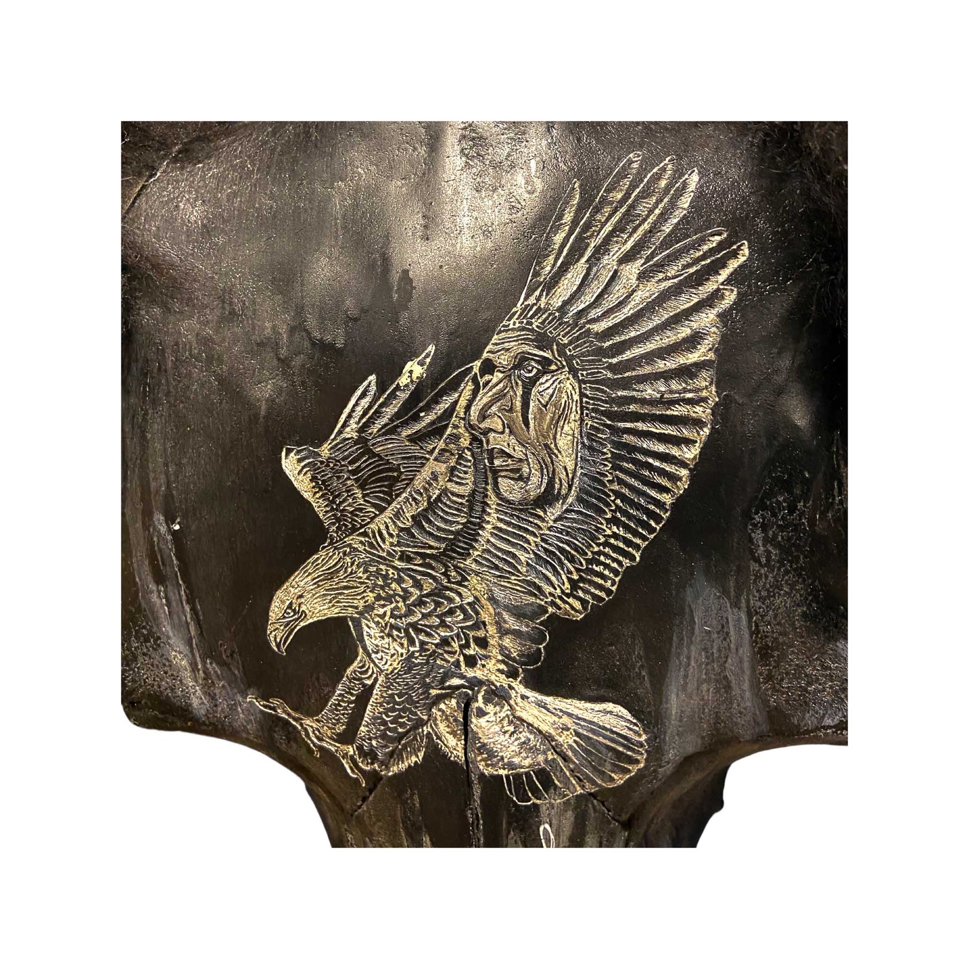 A Bison Engraved Skull Taxidermy Wall Decor featuring an eagle with a Native American chief