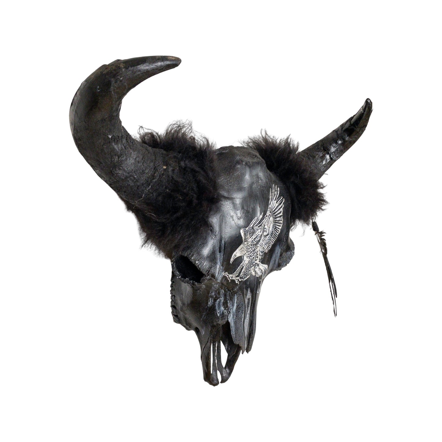 A Bison Engraved Skull Taxidermy Wall Decor featuring an eagle with a Native American chief
