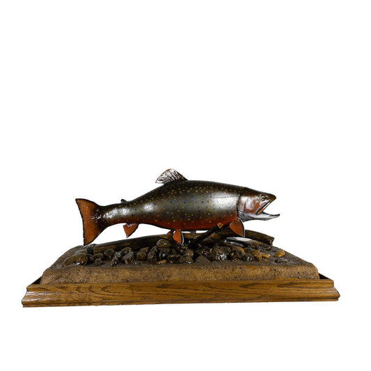 A Home Decor Taxidermy Fish Mount in Glass Showcase Brook Troutof Grade Remarkable