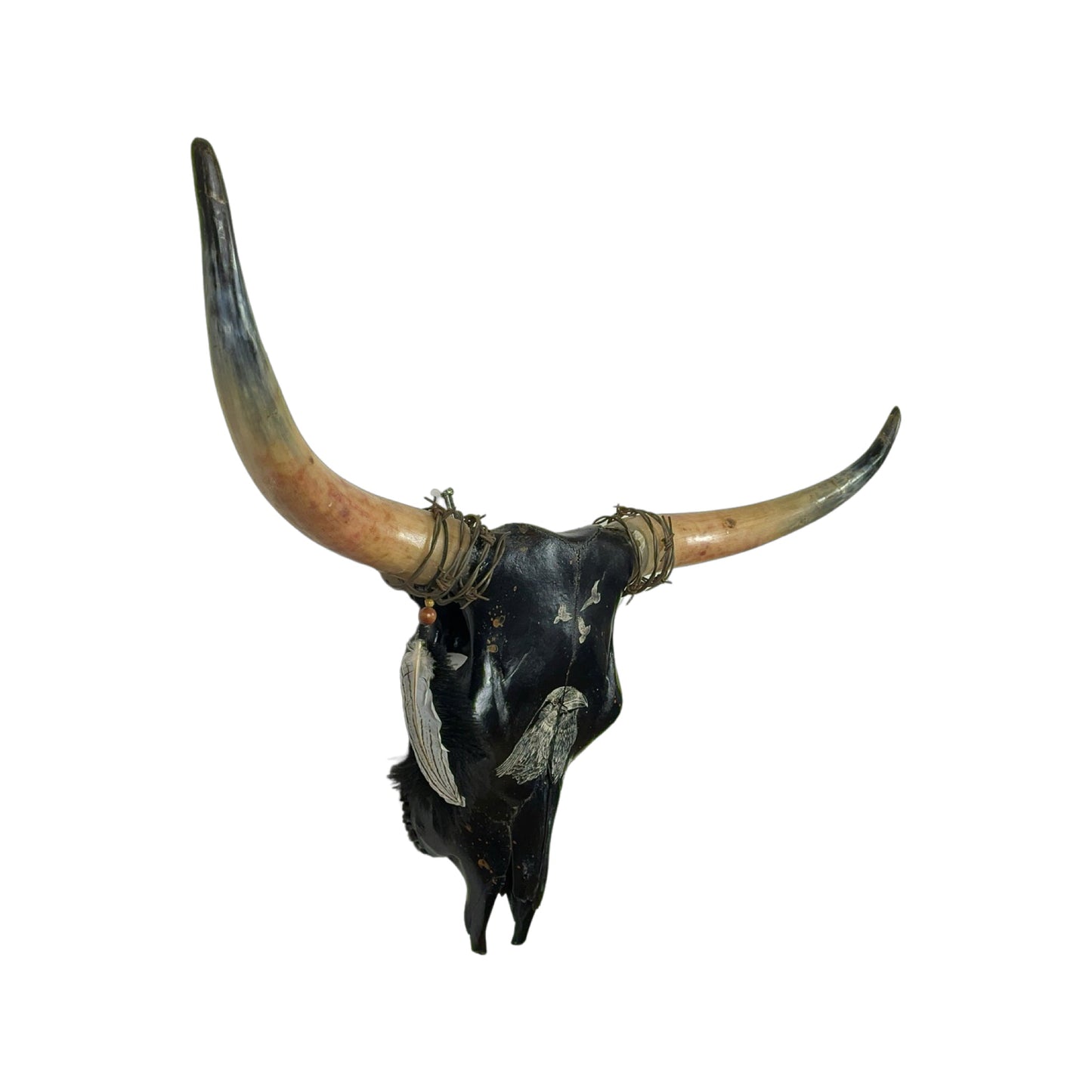 A Longhorn Engraved Skull Taxidermy Wall Decor featuring a large crow bird and 3 flying crows