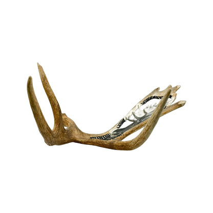 A Moose Engraved Antler Taxidermy Wall Decor featuring a moose head