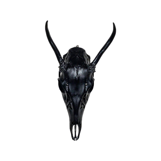A Home Decor Taxidermy White-Tailed Deer Black Painted European Skull of Grade Respectable