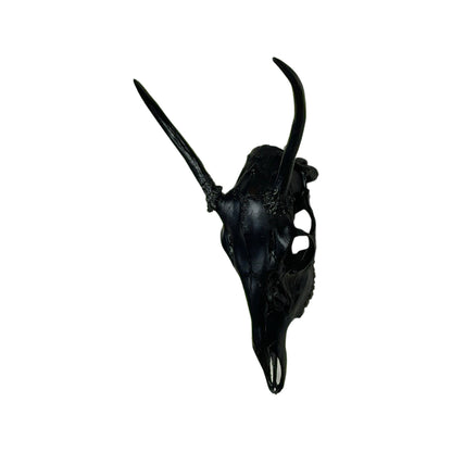A Home Decor Taxidermy White-Tailed Deer Black Painted European Skull of Grade Respectable