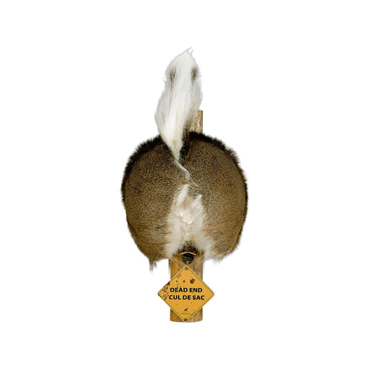 A Man cave Taxidermy White-Tailed Deer Butthole Bottle Opener of Grade Unique