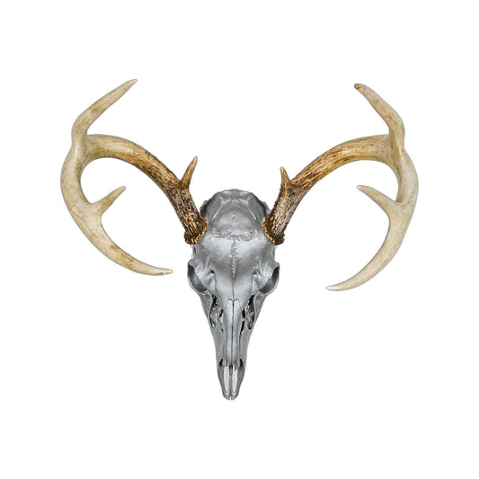 A Home Decor Taxidermy White-Tailed Deer Silver Painted European Skull of Grade Respectable