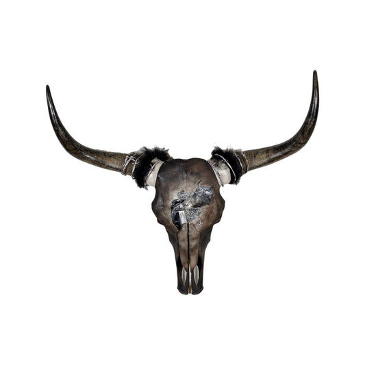 A Yak Engraved Skull Taxidermy Wall Decor featuring a Yak and a young girl looking at each other