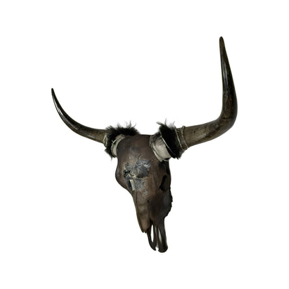 A Yak Engraved Skull Taxidermy Wall Decor featuring a Yak and a young girl looking at each other